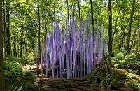 A vertical purple formations behind an uprooted tree in a forest.