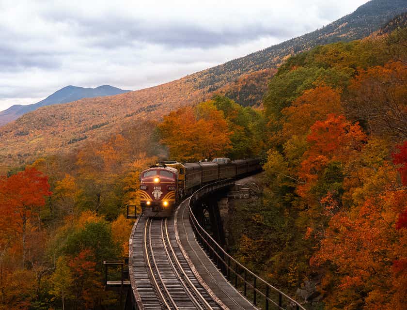 A train driving through New Hampshire during the autumn.