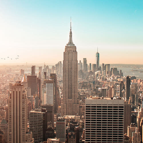 How to Start a Business in New York: