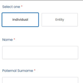 Provide the authorised person's details.