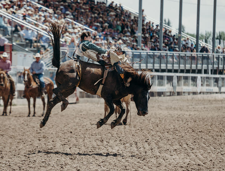 How to Start a Business in Wyoming