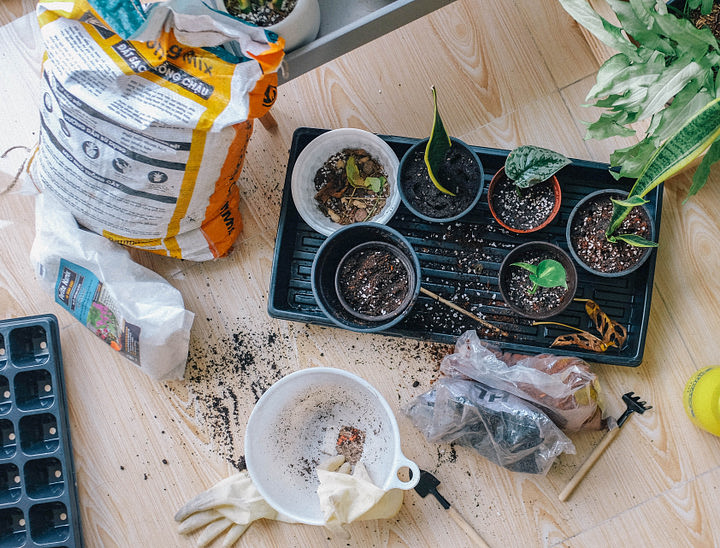 How to Start a Gardening Business