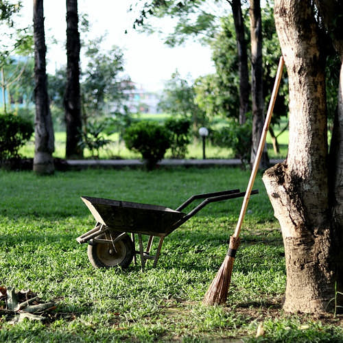 How to Start a Gardening Business: