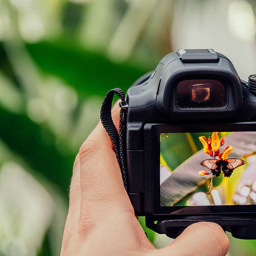 How to Start a Photography Business: