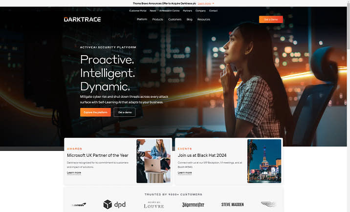 An example of an IT website.