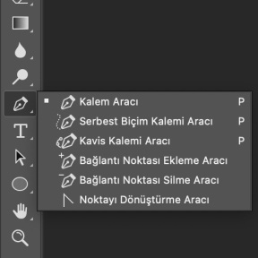 Kalem Aracını seçin.