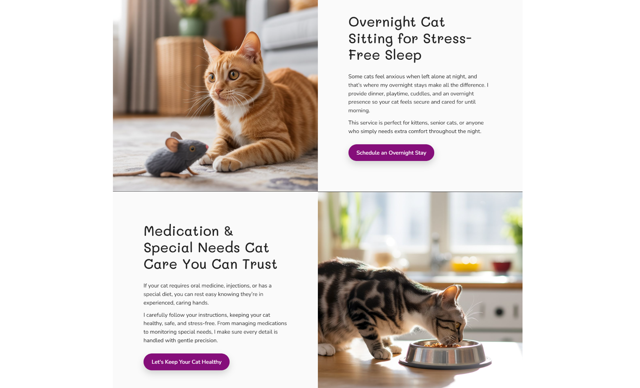 Katy’s Cat Club services section showing an orange tabby cat with a toy mouse beside the headline “Overnight Cat Sitting for Stress-Free Sleep,” and a gray tabby eating from a food bowl below the headline “Medication & Special Needs Cat Care You Can Trust,” each with purple call-to-action buttons