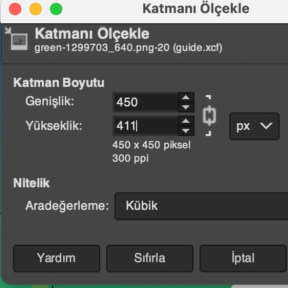 Kaynak görüntüyü yeniden boyutlandırın.
