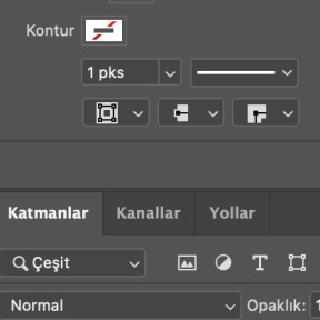 Kontur rengini ayarlayın.