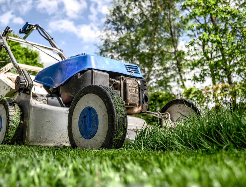 Een grasmaaier wordt gebruikt voor algemene gazonverzorging.