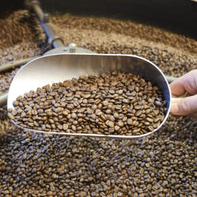 Learn about coffee roasters.