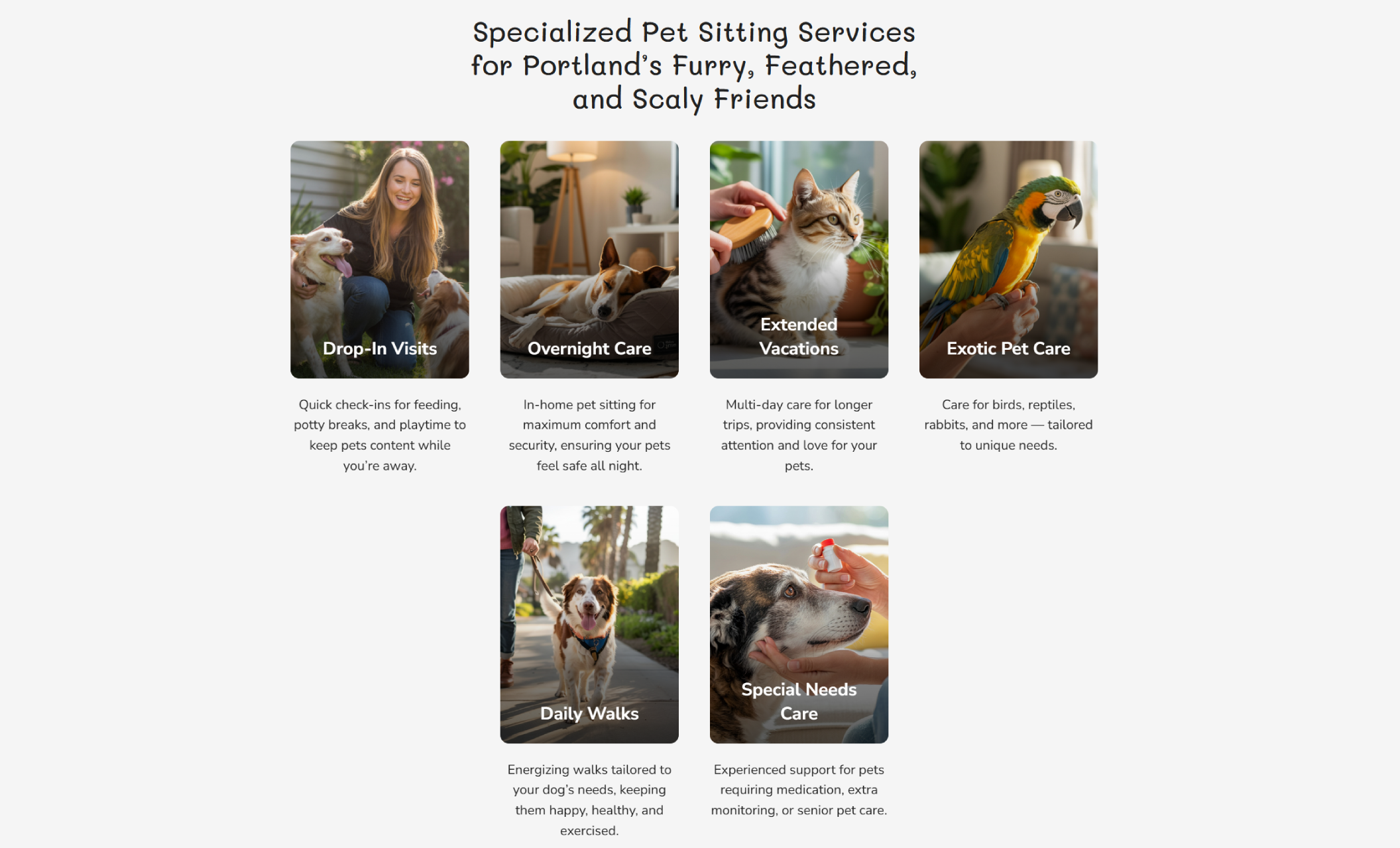 Leila’s Pet Sitting services section showcasing six illustrated service cards for Drop-In Visits, Overnight Care, Extended Vacations, Exotic Pet Care, Daily Walks, and Special Needs Care, each with descriptive text