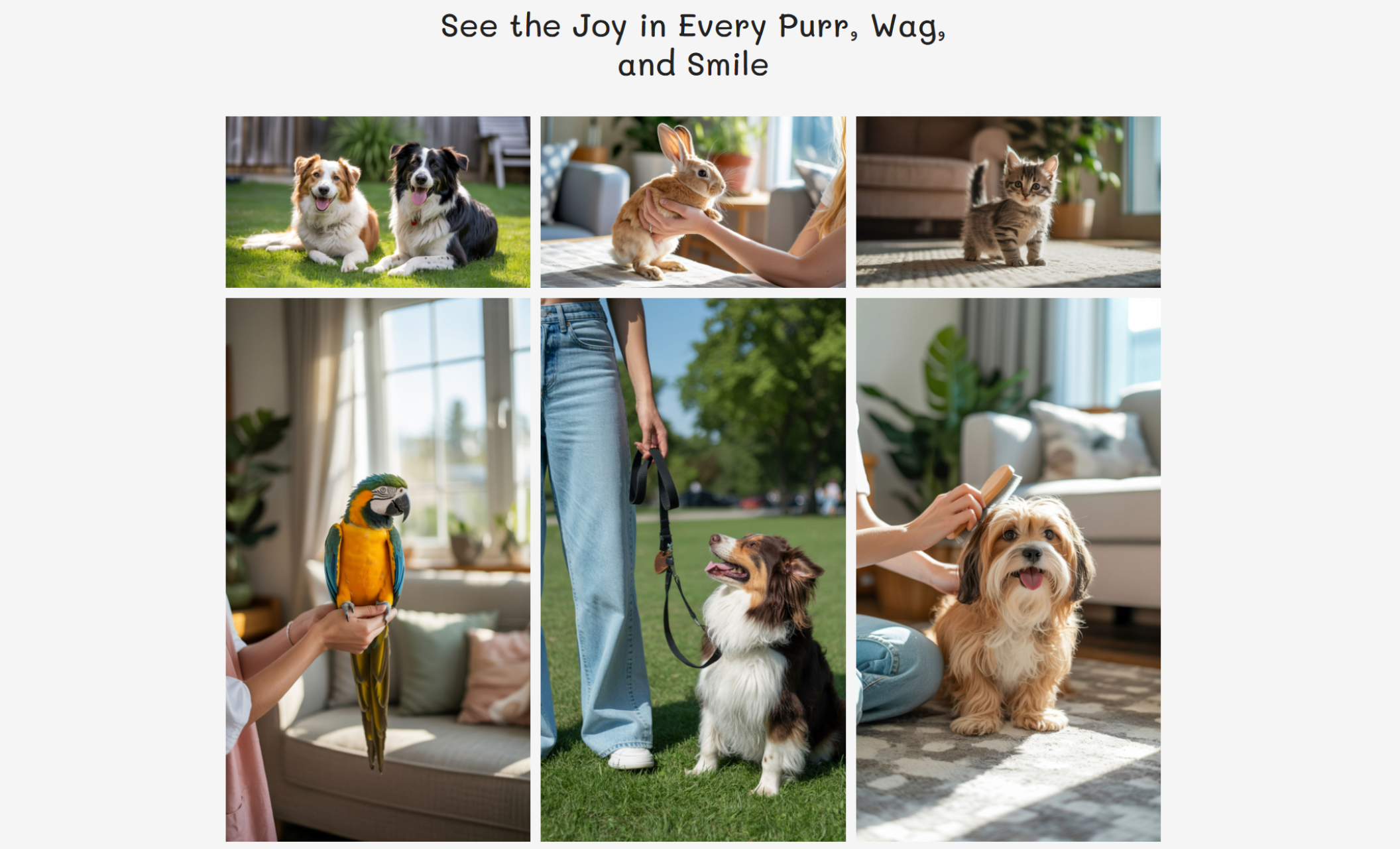 Leila's Pet Sitting gallery section titled “See the Joy in Every Purr, Wag, and Smile,” featuring a grid of six vibrant pet photos including dogs, cats, a rabbit, and a parrot