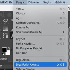 Logonuzu dışa aktarın.