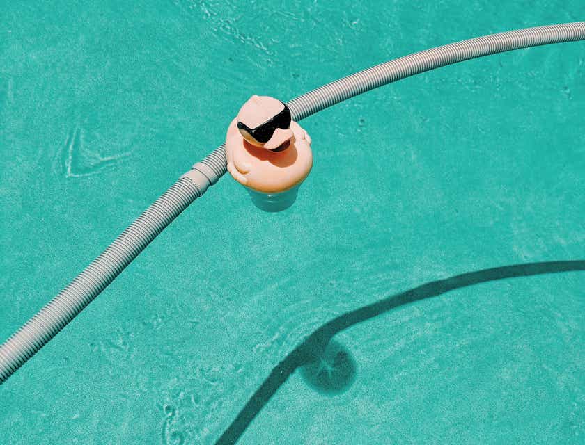 un patito con lentes de sol chidos en una piscina.