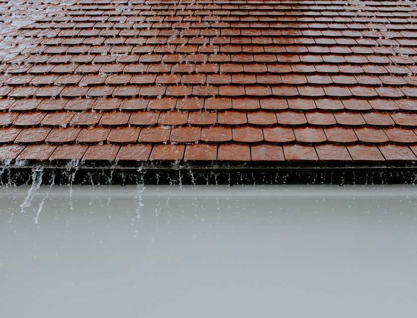 La imagen de tejas siendo limpiada con agua en un logo para un negocio de limpieza de techos.