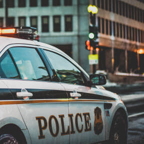 Look up crime statistics.