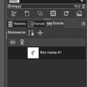 Wykonaj kopię oryginalnej ścieżki obrysu ikony.