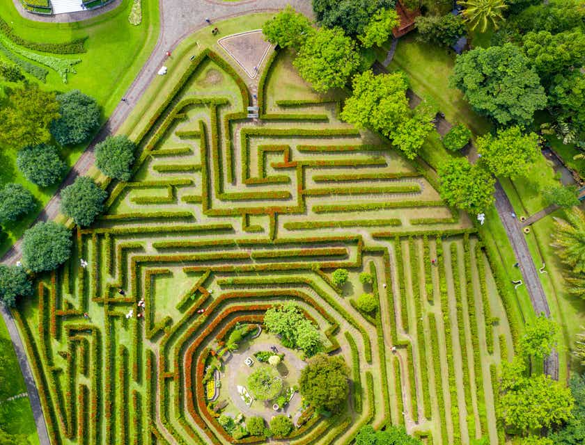 A large maze in a lush garden.