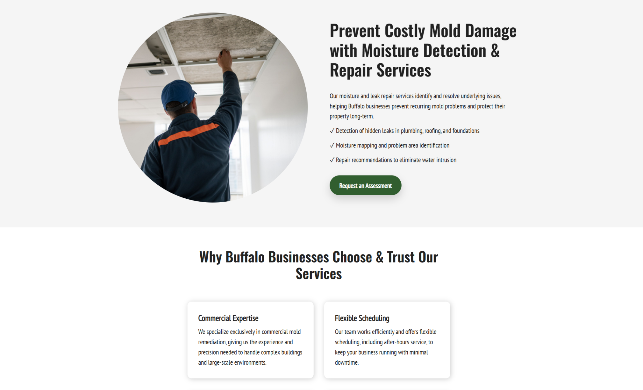 Metro Mold Specialists service section showing a technician inspecting a ceiling beside the headline “Prevent Costly Mold Damage with Moisture Detection & Repair Services” and a “Request an Assessment” button