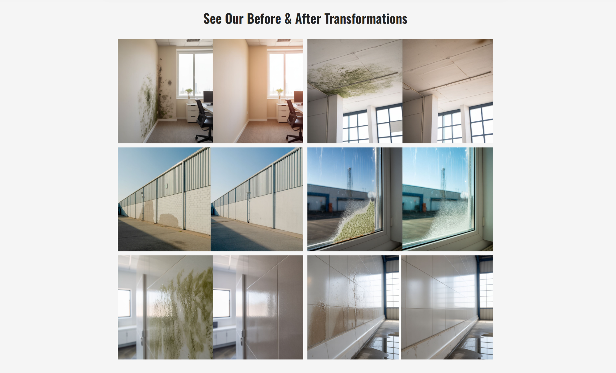 Before-and-after gallery titled “See Our Before & After Transformations” displaying multiple images of mold removal results across walls, ceilings, windows, and commercial spaces