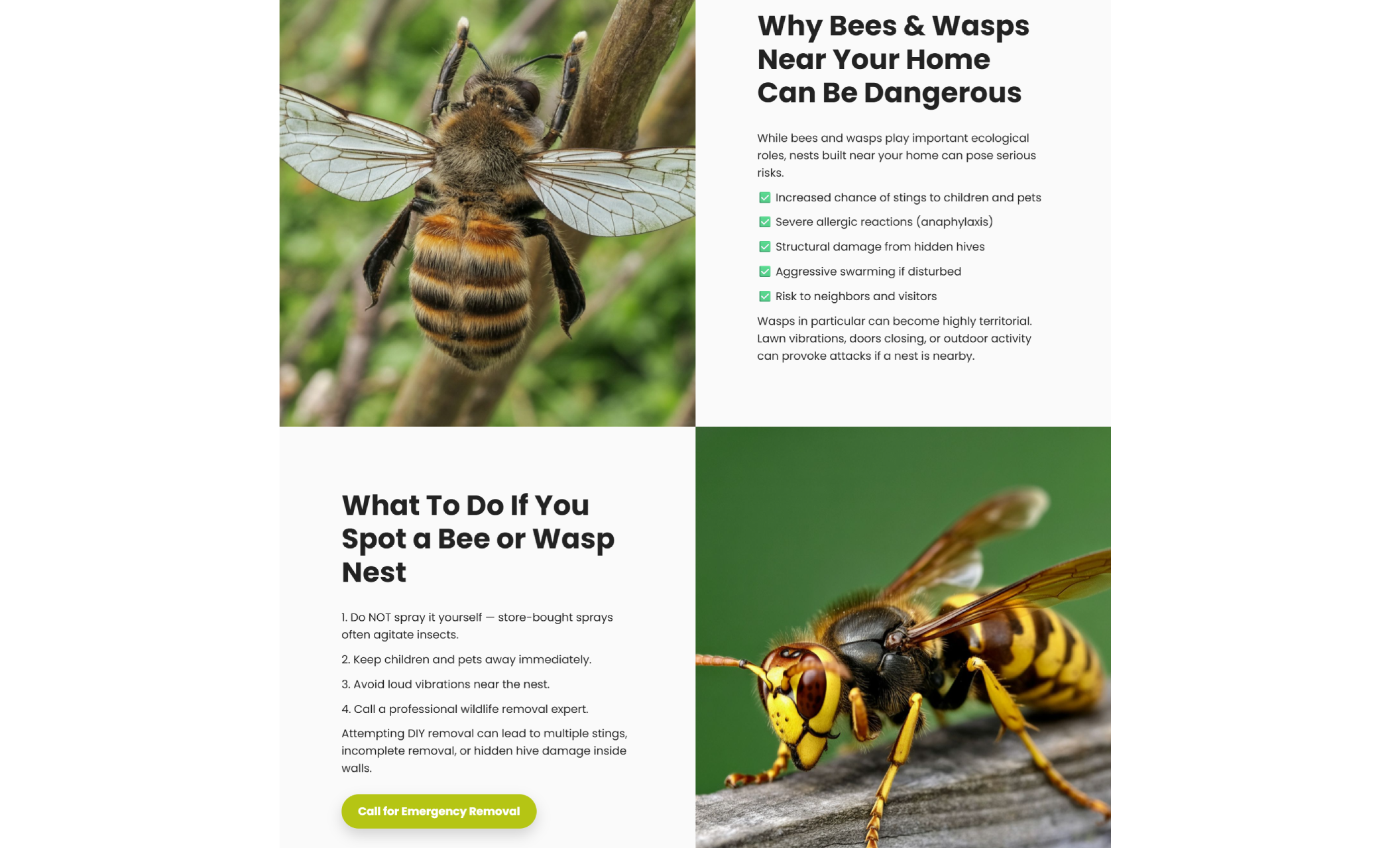 Educational section titled “Why Bees & Wasps Near Your Home Can Be Dangerous” alongside close-up images of a bee and a wasp with bullet points explaining potential risks and safety concerns