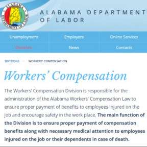 Obtain mandatory insurance.