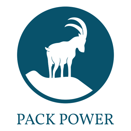 Backpack Logos + Free Logo Maker