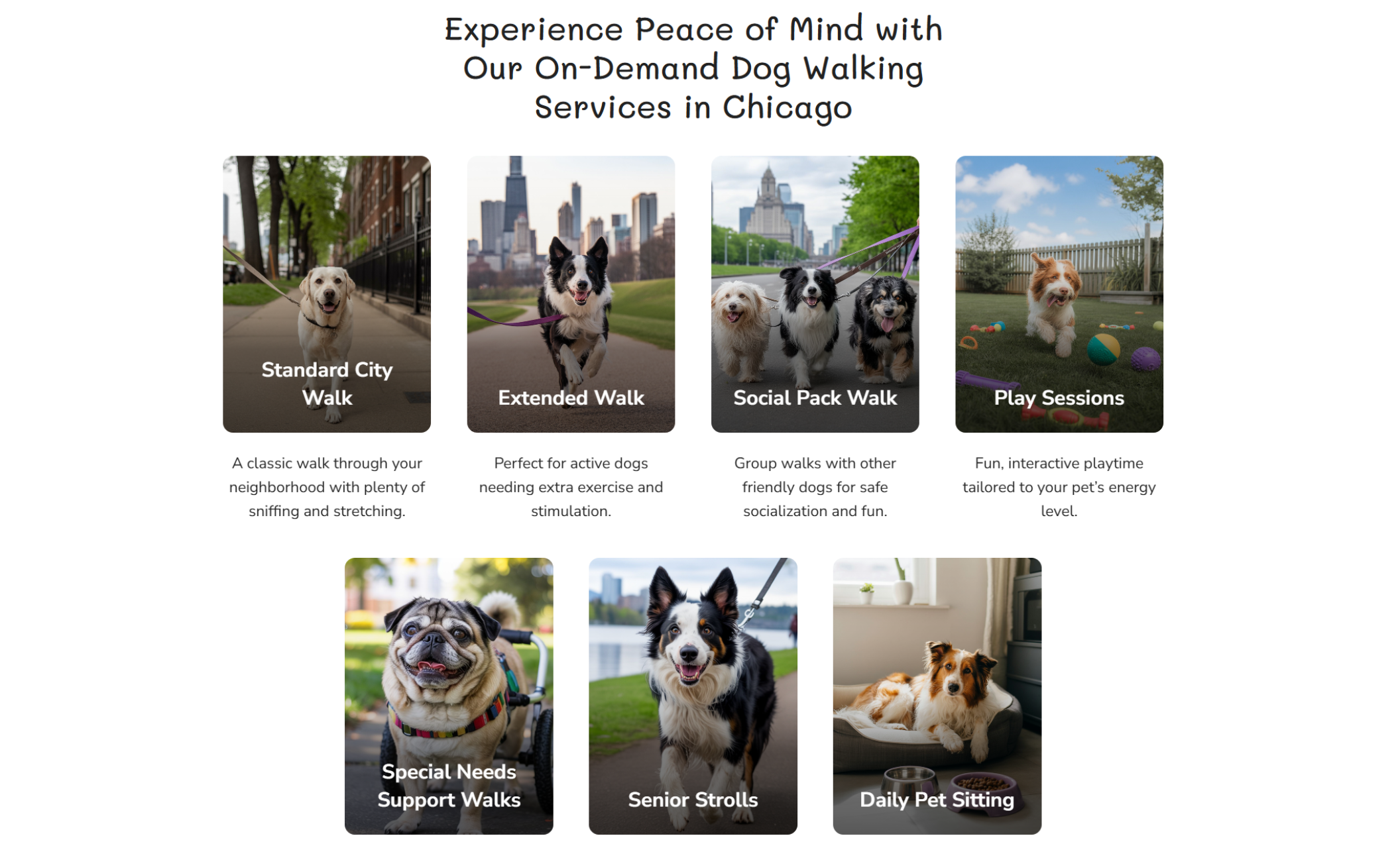 Service options grid from Paws in Motion displaying seven dog walking services with photos, including Standard City Walk, Extended Walk, Social Pack Walk, Play Sessions, Special Needs Support Walks, Senior Strolls, and Daily Pet Sitting