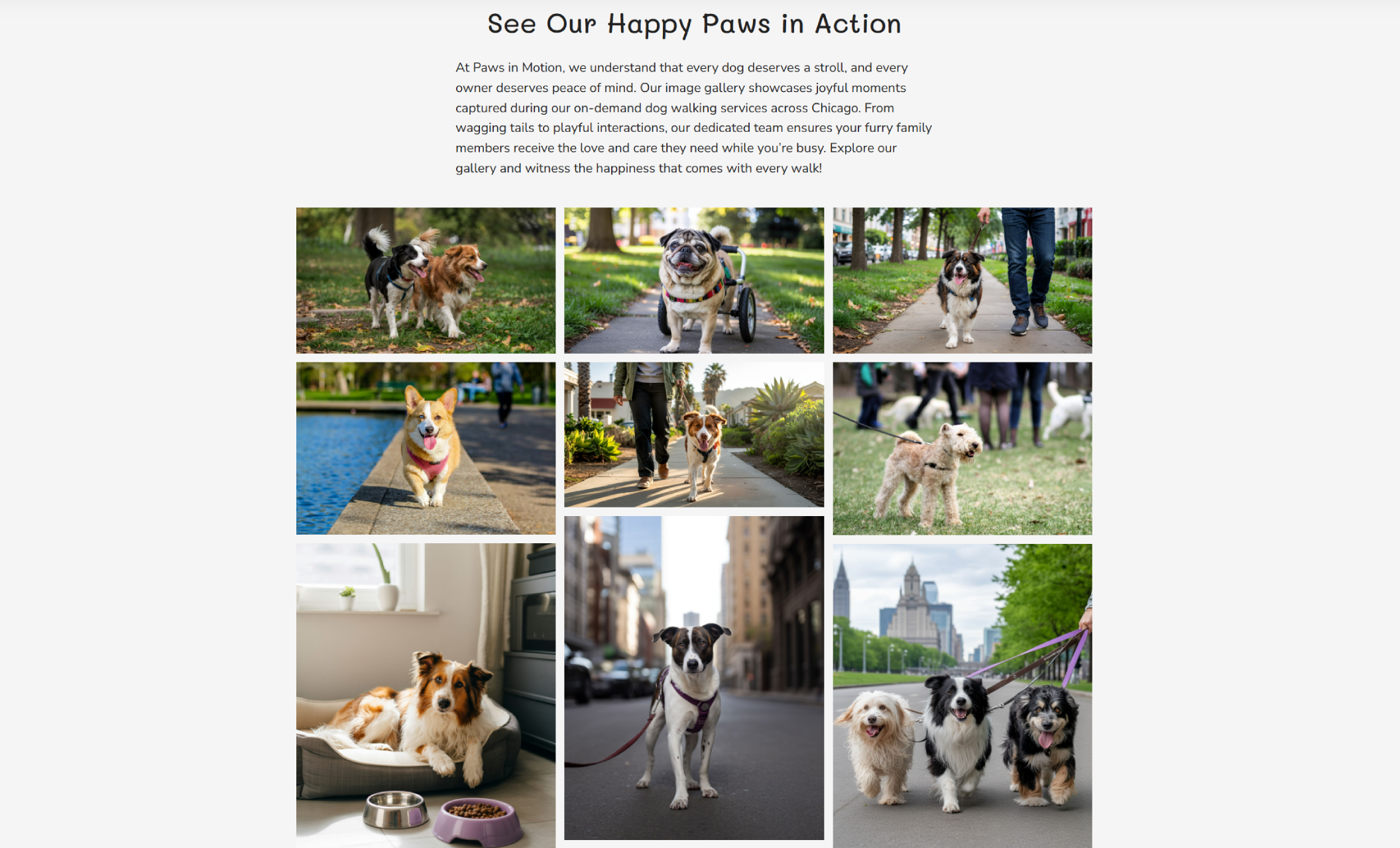 Paws in Motion gallery section showcasing a grid of nine joyful dog walking photos, including pups running, strolling on leashes, and relaxing indoors, under the headline “See Our Happy Paws in Action.”