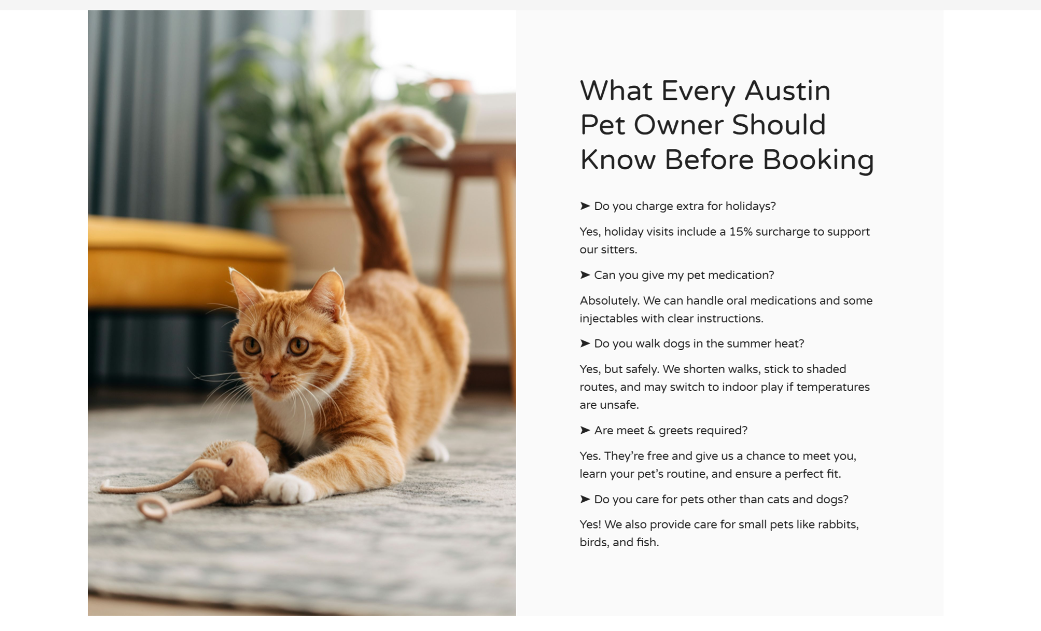 Paws & Whiskers Care FAQ section featuring an orange cat playing with a toy on a carpet, alongside a text box titled “What Every Austin Pet Owner Should Know Before Booking” with answers to common client questions
