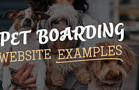 A person holding dogs at a pet boarding facility.