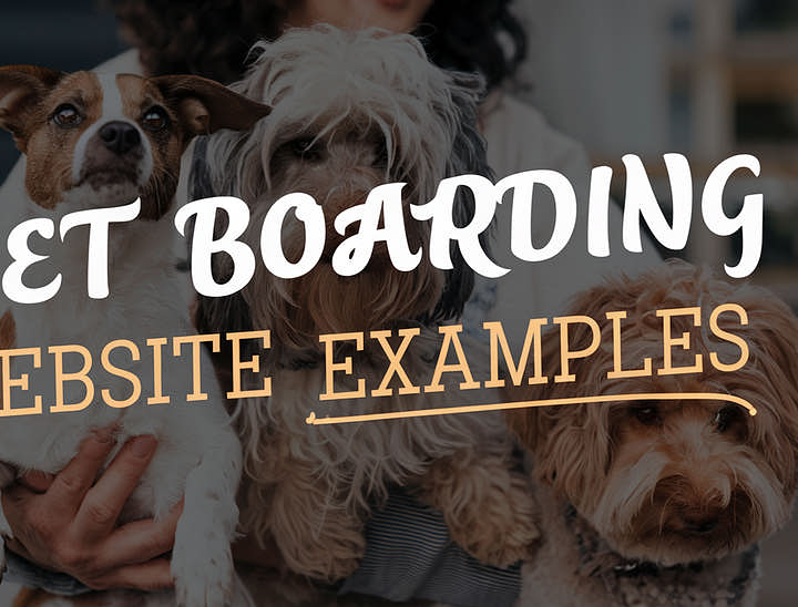 20 Beautiful Pet Boarding Website Examples for 2025