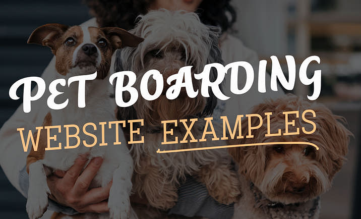 A person holding dogs at a pet boarding facility.