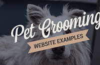 A dog being attended to at a pet grooming salon.