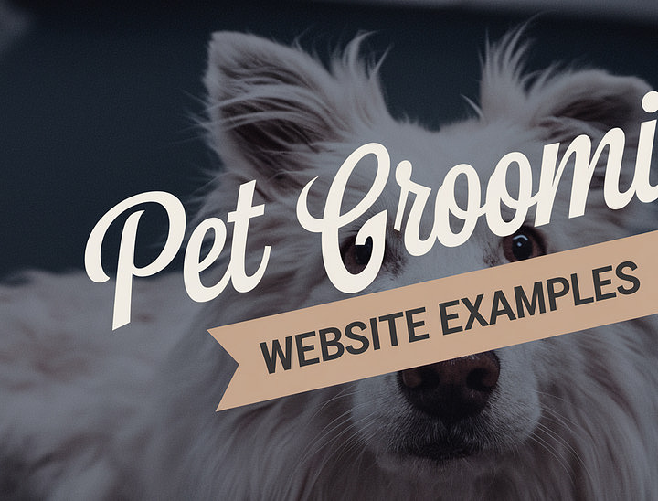 20 Charming Pet Grooming Website Examples for 2025