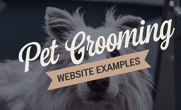 A dog being attended to at a pet grooming salon.