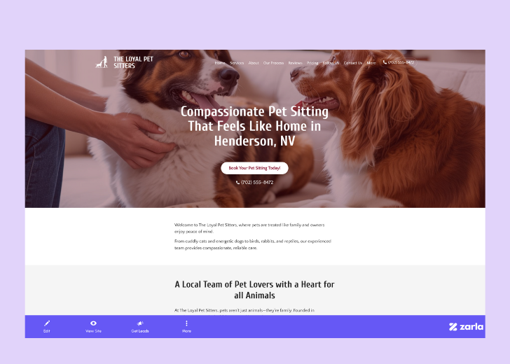 Screenshot of Zarla Editor's UI for selecting fonts and color palettes and uploading custom images