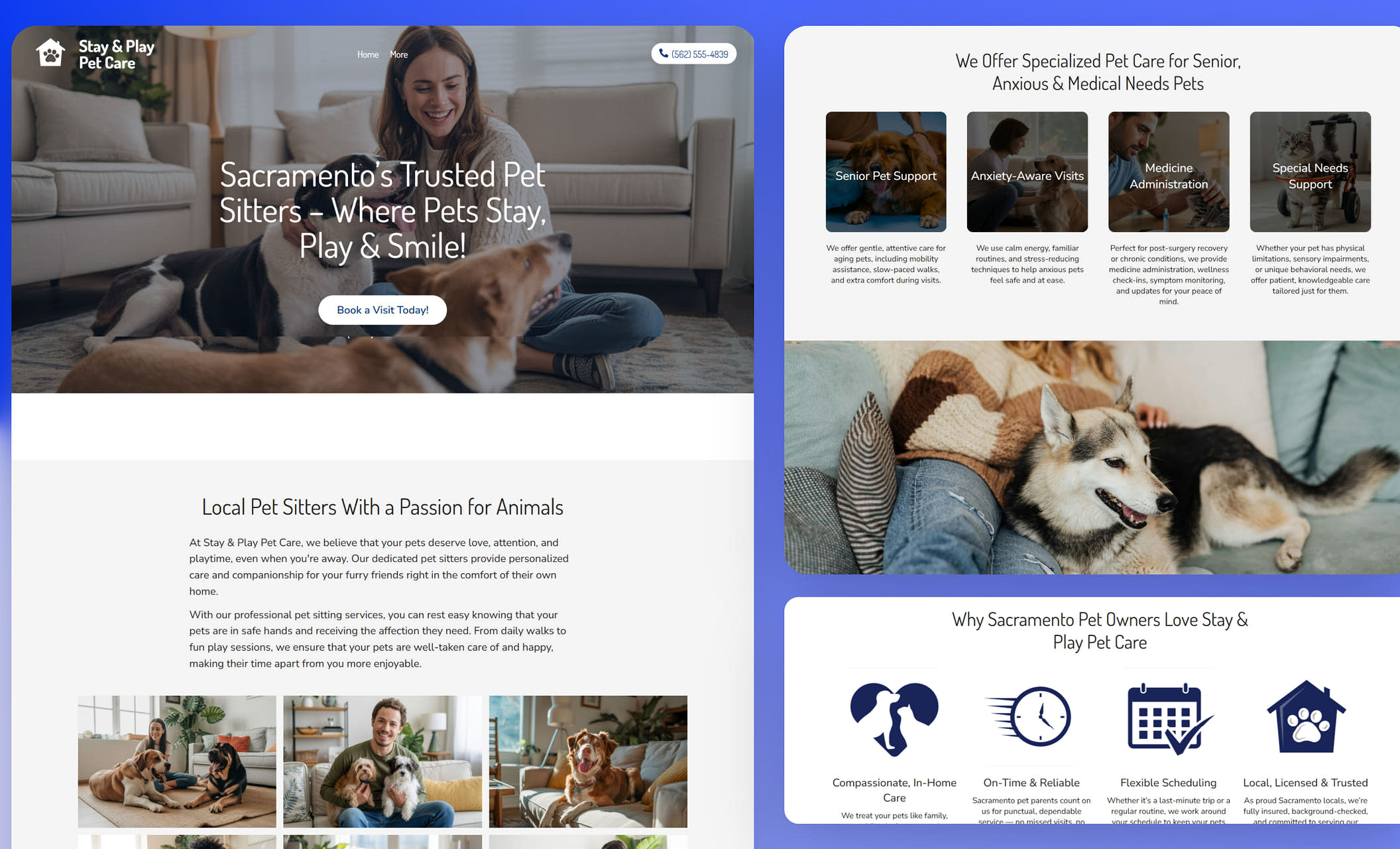 Best Pet Sitting Website Templates Custom Designs for Pet Sitters Zarla