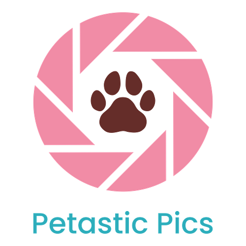 Pet Photography Logos + Free Logo Maker
