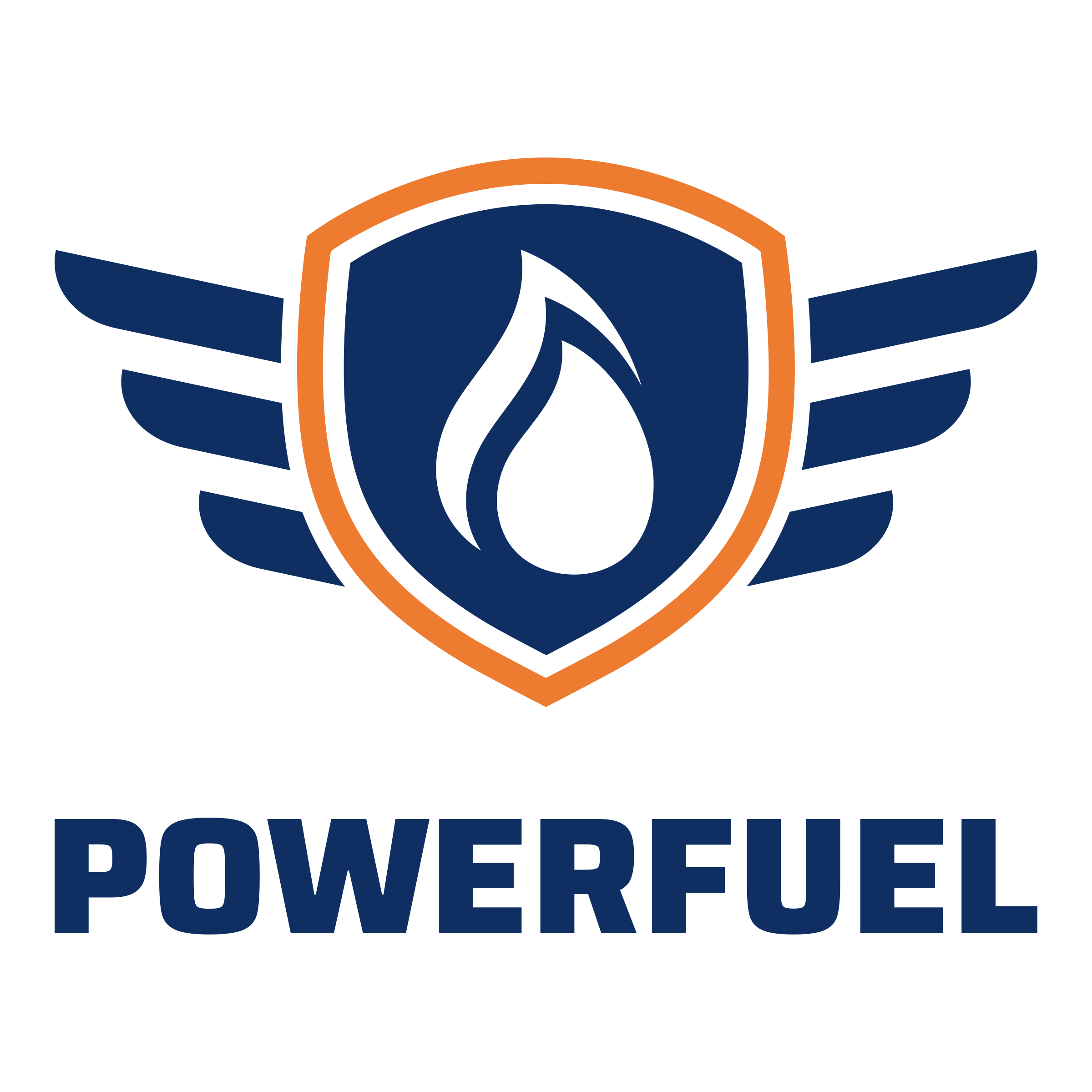 natural gas company logo