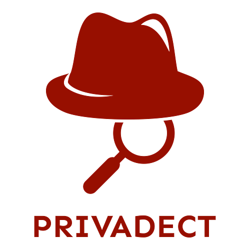 Logo Detektif Swasta