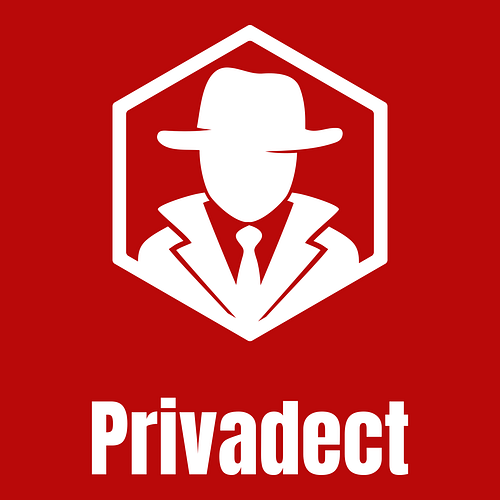 Logo Detektif Swasta