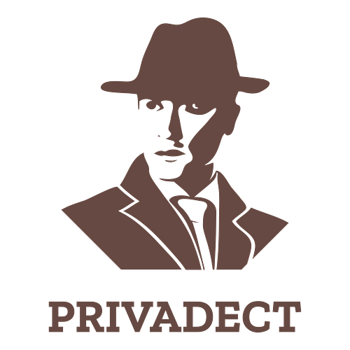Logo Detektif Swasta