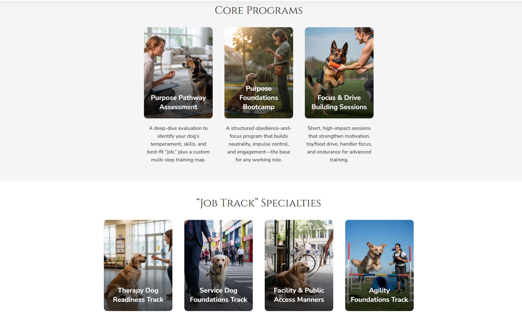 Pup & Purpose Training programs page featuring a grid of core program cards and job-track specialties, including Purpose Pathway Assessment, Purpose Foundations Bootcamp, Focus & Drive Sessions, Therapy Dog Readiness, Service Dog Foundations, Public Access Manners, and Agility Foundations