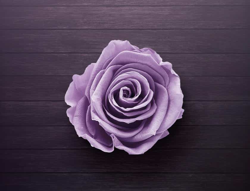 A purple rose on a purple table.