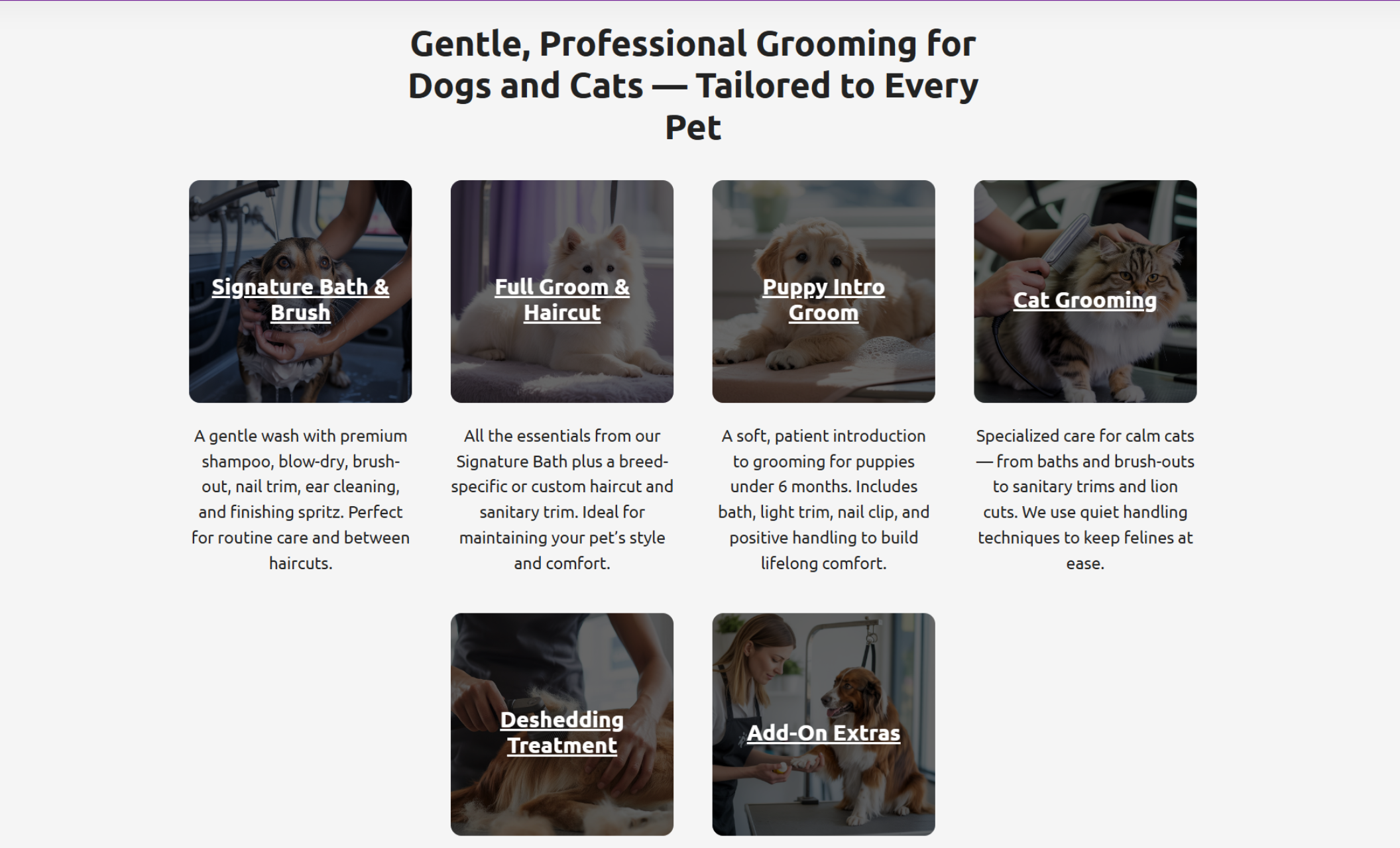 “Gentle, Professional Grooming for Dogs and Cats — Tailored to Every Pet” section displaying six service cards for Signature Bath & Brush, Full Groom & Haircut, Puppy Intro Groom, Cat Grooming, Deshedding Treatment, and Add-On Extras, each with vivid grooming photos