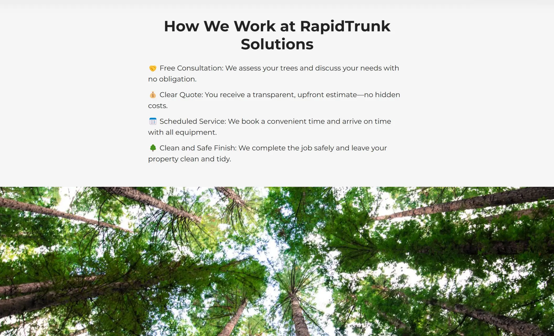 RapidTrunk Solutions' website displaying the "How We Work at RapidTrunk Solutions" section, and an image of canopies of trees