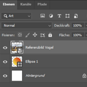 Verwenden Sie ein Referenzbild.