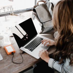 Find vendors and suppliers.